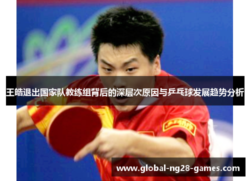 王皓退出国家队教练组背后的深层次原因与乒乓球发展趋势分析 王皓退出国家队教练组背后的深层次原因与乒乓球发展趋势分析